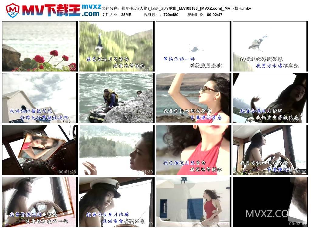 蔡琴-初恋(人物)_国语_流行歌曲_MA105183